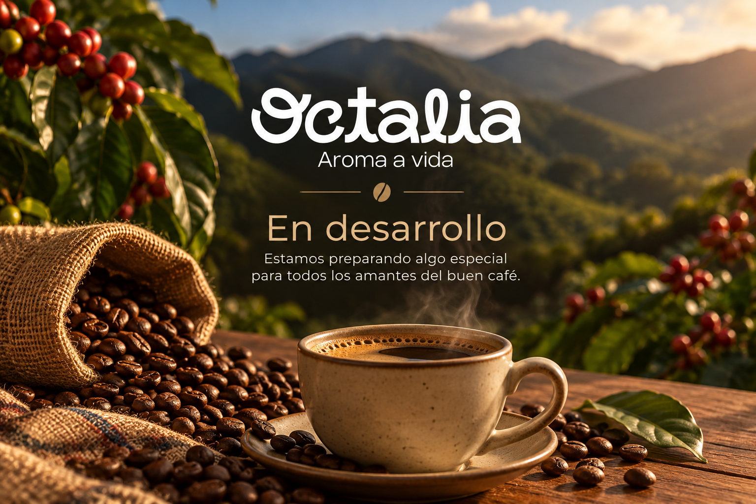 OCTALIA COFFEE - En desarrollo